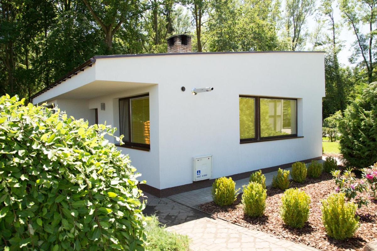 Camping Oaza Blonie Kornik Domki Standard Plus - 3 Pokoje Extérieur photo